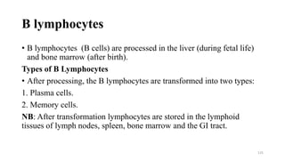 B lymphocytes
• B lymphocytes (B cells) are processed in the liver (during fetal life)
and bone marrow (after birth).
Types of B Lymphocytes
• After processing, the B lymphocytes are transformed into two types:
1. Plasma cells.
2. Memory cells.
NB: After transformation lymphocytes are stored in the lymphoid
tissues of lymph nodes, spleen, bone marrow and the GI tract.
125
 