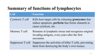Summary of functions of lymphocytes
Cell Function
Cytotoxic T cell Kills host target cells by releasing granzymes that
induce apoptosis, perforin that forms channels to
cause cytolysis, etc.
Memory T cell Remains in lymphatic tissue and recognizes original
invading antigens, even years after the first
encounter.
Suppressor T cell Suppresses the activities of killer T cells, preventing
them from destroying the body’s own tissues.
126
 