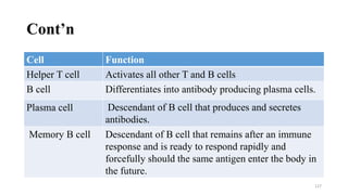 Cont’n
Cell Function
Helper T cell Activates all other T and B cells
B cell Differentiates into antibody producing plasma cells.
Plasma cell Descendant of B cell that produces and secretes
antibodies.
Memory B cell Descendant of B cell that remains after an immune
response and is ready to respond rapidly and
forcefully should the same antigen enter the body in
the future.
127
 