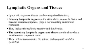 Lymphatic Organs and Tissues
• Lymphatic organs or tissues can be categorized into two;
• Primary lymphatic organs are the sites where stem cells divide and
become immunocompetent, (capable of mounting an immune
response).
• They include the red bone marrow and the thymus.
• The secondary lymphatic organs and tissues are the sites where
most immune responses occur.
• They include lymph nodes, the spleen, and lymphatic nodules
(follicles).
167
 