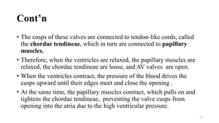 Cont’n
• The cusps of these valves are connected to tendon-like cords, called
the chordae tendineae, which in turn are connected to papillary
muscles.
• Therefore, when the ventricles are relaxed, the papillary muscles are
relaxed, the chordae tendineae are loose, and AV valves are open.
• When the ventricles contract, the pressure of the blood drives the
cusps upward until their edges meet and close the opening .
• At the same time, the papillary muscles contract, which pulls on and
tightens the chordae tendineae, preventing the valve cusps from
opening into the atria due to the high ventricular pressure.
24
 