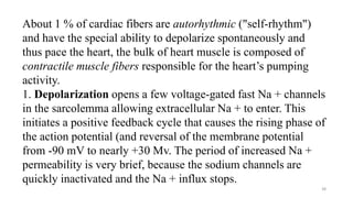38
About 1 % of cardiac fibers are autorhythmic ("self-rhythm")
and have the special ability to depolarize spontaneously and
thus pace the heart, the bulk of heart muscle is composed of
contractile muscle fibers responsible for the heart’s pumping
activity.
1. Depolarization opens a few voltage-gated fast Na + channels
in the sarcolemma allowing extracellular Na + to enter. This
initiates a positive feedback cycle that causes the rising phase of
the action potential (and reversal of the membrane potential
from -90 mV to nearly +30 Mv. The period of increased Na +
permeability is very brief, because the sodium channels are
quickly inactivated and the Na + influx stops.
 
