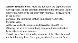45
Atrioventricular node. From the SA node, the depolarization
wave spreads via gap junctions throughout the atria and via the
internodal pathway to the atrioventricular (AV) node, located
in the inferior
portion of the interatrial septum immediately above the
tricuspid valve.
At the AV node, the impulse is delayed for about 0.1 s,
allowing the atria to respond and complete their contraction
before the ventricles contract.
This delay reflects the smaller diameter of the fibers here and
the fact that they have fewer gap junctions for current flow.
 