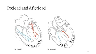 Preload andAfterload
55
 