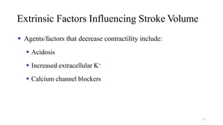 Extrinsic Factors Influencing Stroke Volume
▪ Agents/factors that decrease contractility include:
▪ Acidosis
▪ Increased extracellular K+
▪ Calcium channel blockers
57
 