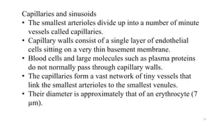 Capillaries and sinusoids
• The smallest arterioles divide up into a number of minute
vessels called capillaries.
• Capillary walls consist of a single layer of endothelial
cells sitting on a very thin basement membrane.
• Blood cells and large molecules such as plasma proteins
do not normally pass through capillary walls.
• The capillaries form a vast network of tiny vessels that
link the smallest arterioles to the smallest venules.
• Their diameter is approximately that of an erythrocyte (7
µm).
72
 