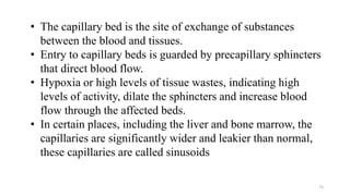 73
• The capillary bed is the site of exchange of substances
between the blood and tissues.
• Entry to capillary beds is guarded by precapillary sphincters
that direct blood flow.
• Hypoxia or high levels of tissue wastes, indicating high
levels of activity, dilate the sphincters and increase blood
flow through the affected beds.
• In certain places, including the liver and bone marrow, the
capillaries are significantly wider and leakier than normal,
these capillaries are called sinusoids
 