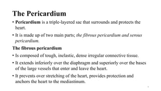 The Pericardium
• Pericardium is a triple-layered sac that surrounds and protects the
heart.
• It is made up of two main parts; the fibrous pericardium and serous
pericardium.
The fibrous pericardium
• Is composed of tough, inelastic, dense irregular connective tissue.
• It extends inferiorly over the diaphragm and superiorly over the bases
of the large vessels that enter and leave the heart.
• It prevents over stretching of the heart, provides protection and
anchors the heart to the mediastinum.
9
 