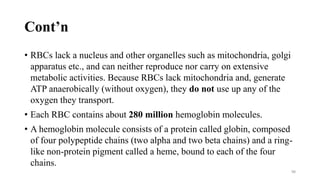 Cont’n
• RBCs lack a nucleus and other organelles such as mitochondria, golgi
apparatus etc., and can neither reproduce nor carry on extensive
metabolic activities. Because RBCs lack mitochondria and, generate
ATP anaerobically (without oxygen), they do not use up any of the
oxygen they transport.
• Each RBC contains about 280 million hemoglobin molecules.
• A hemoglobin molecule consists of a protein called globin, composed
of four polypeptide chains (two alpha and two beta chains) and a ring-
like non-protein pigment called a heme, bound to each of the four
chains.
98
 