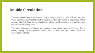 Double Circulation
• The way blood flows in the human body is unique, and it is quite efficient too. The
blood circulates through the heart twice, hence, it is called double circulation. Other
animals like fish have single circulation, where blood completes a circuit through
the entire animal only once.
• The main advantage of double circulation is that every tissue in the body has a
steady supply of oxygenated blood, and it does not get mixed with the
deoxygenated blood.
 
