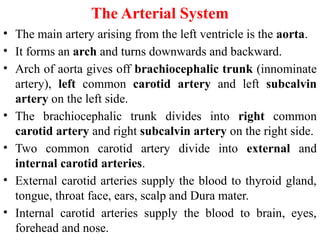 Cardiovascular System Human Anatomy And Physiology PPTX