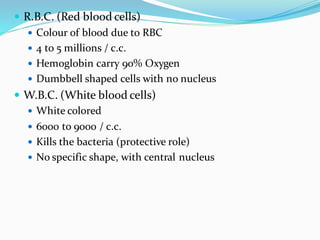 Cardiovascular System for health care to learn about the body.pdf