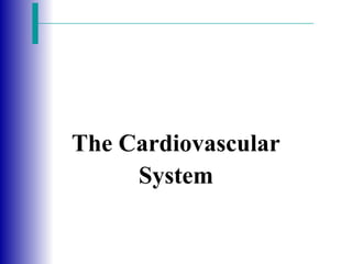 cardiovascular system anatomy and physiology .ppt