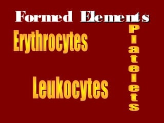 Formed ElementsElements
 