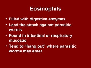 Eosinophils
• Filled with digestive enzymes
• Lead the attack against parasitic
worms
• Found in intestinal or respiratory
mucosae
• Tend to “hang out” where parasitic
worms may enter
 