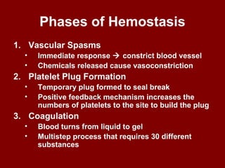 Phases of Hemostasis
1. Vascular Spasms
• Immediate response  constrict blood vessel
• Chemicals released cause vasoconstriction
2. Platelet Plug Formation
• Temporary plug formed to seal break
• Positive feedback mechanism increases the
numbers of platelets to the site to build the plug
3. Coagulation
• Blood turns from liquid to gel
• Multistep process that requires 30 different
substances
 