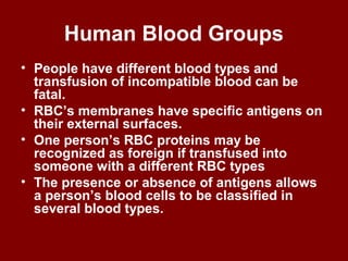 Human Blood Groups
• People have different blood types and
transfusion of incompatible blood can be
fatal.
• RBC’s membranes have specific antigens on
their external surfaces.
• One person’s RBC proteins may be
recognized as foreign if transfused into
someone with a different RBC types
• The presence or absence of antigens allows
a person’s blood cells to be classified in
several blood types.
 