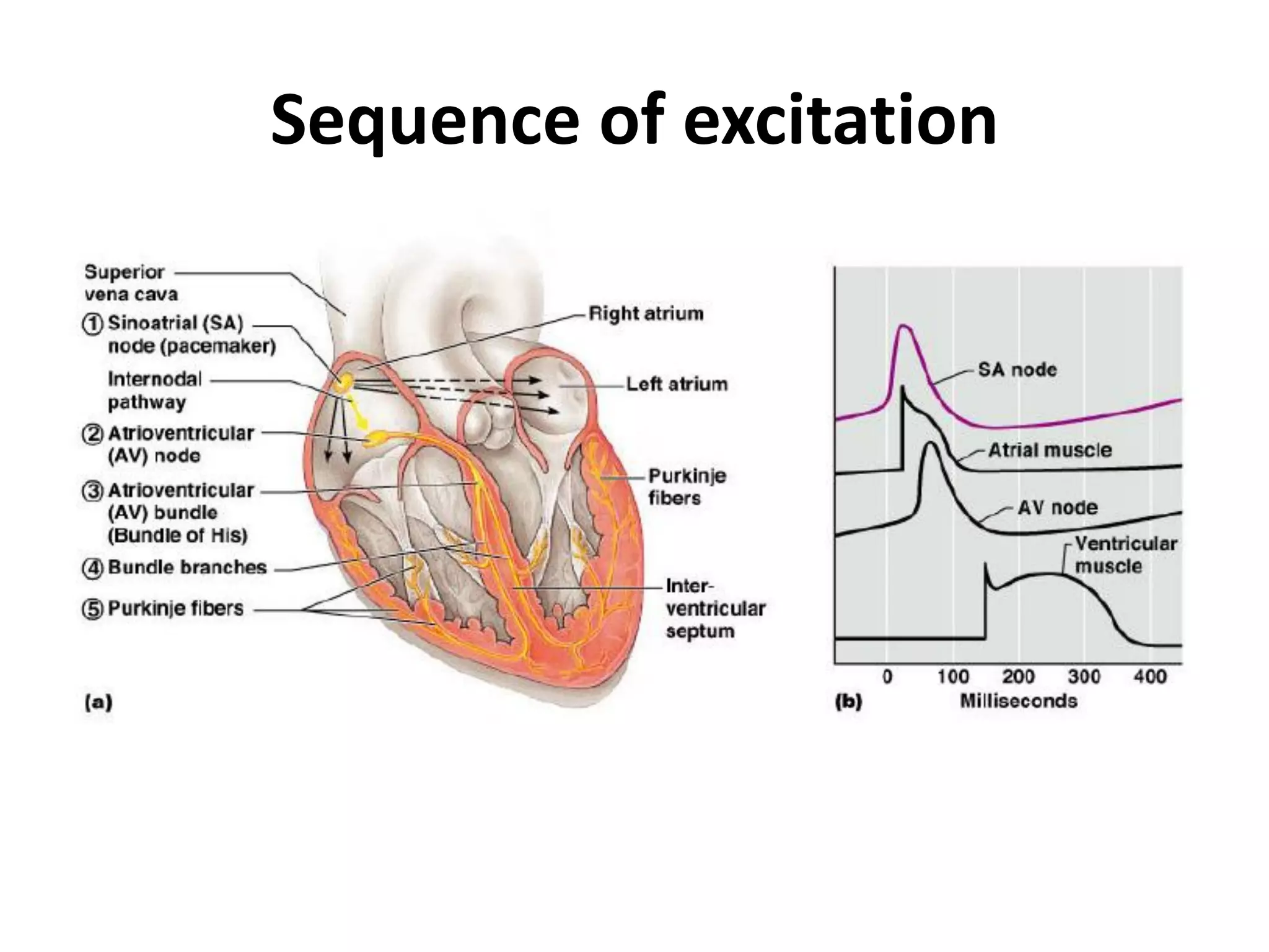 Sequence of excitation
 