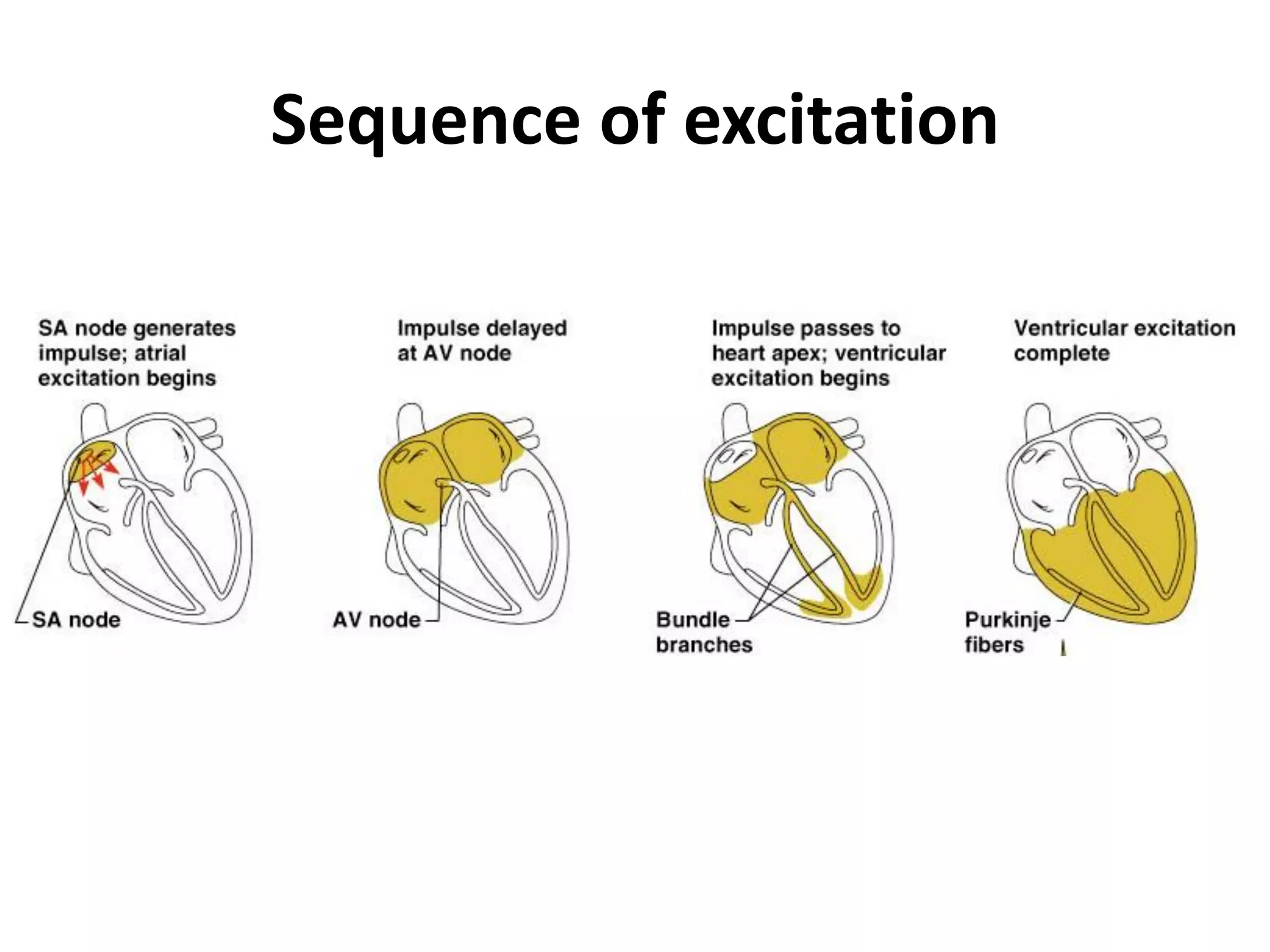 Sequence of excitation
 