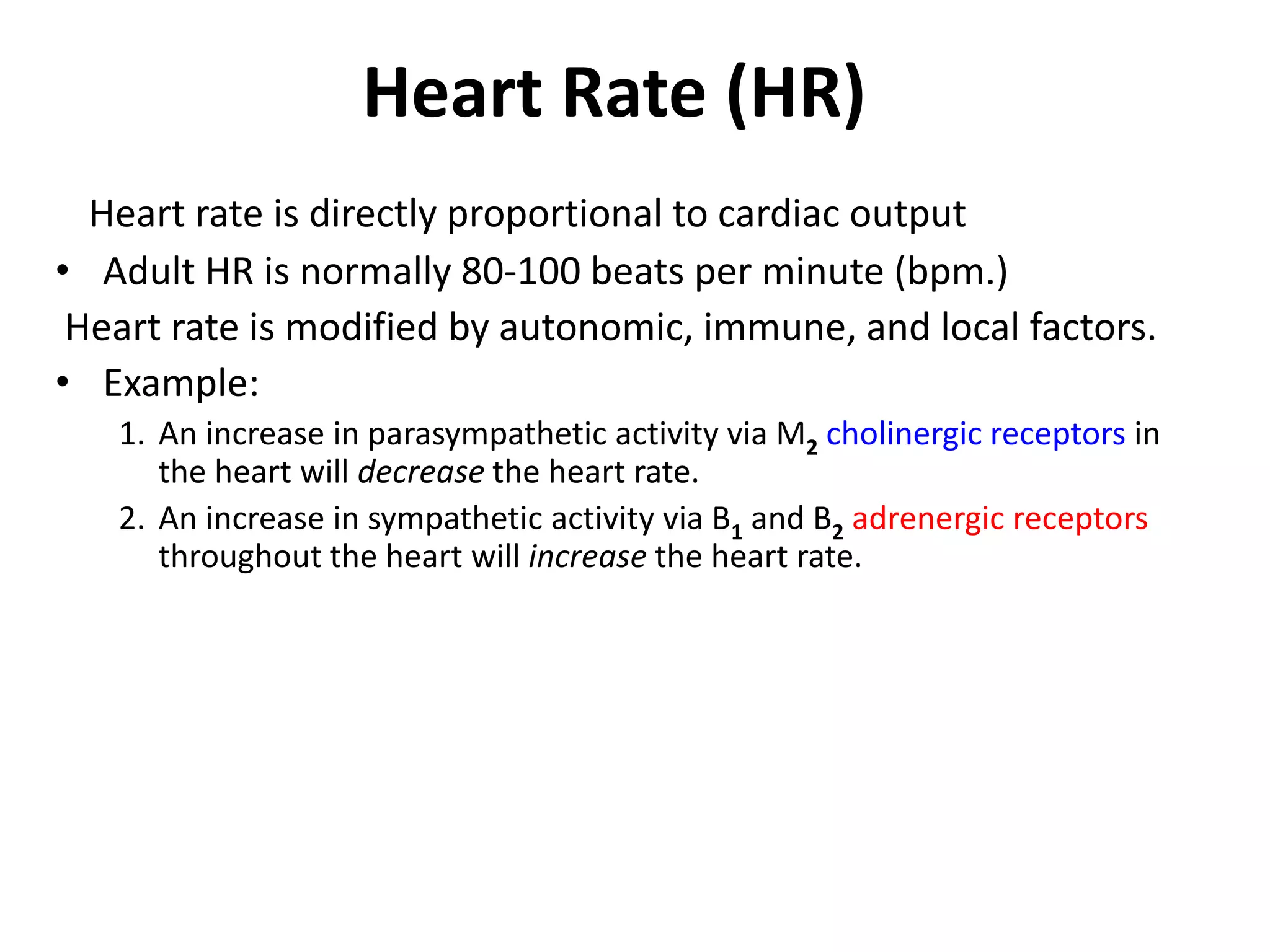 Heart Rate (HR)
Heart rate is directly proportional to cardiac output
• Adult HR is normally 80-100 beats per minute (bpm.)
Heart rate is modified by autonomic, immune, and local factors.
• Example:
1. An increase in parasympathetic activity via M2 cholinergic receptors in
the heart will decrease the heart rate.
2. An increase in sympathetic activity via B1 and B2 adrenergic receptors
throughout the heart will increase the heart rate.
 