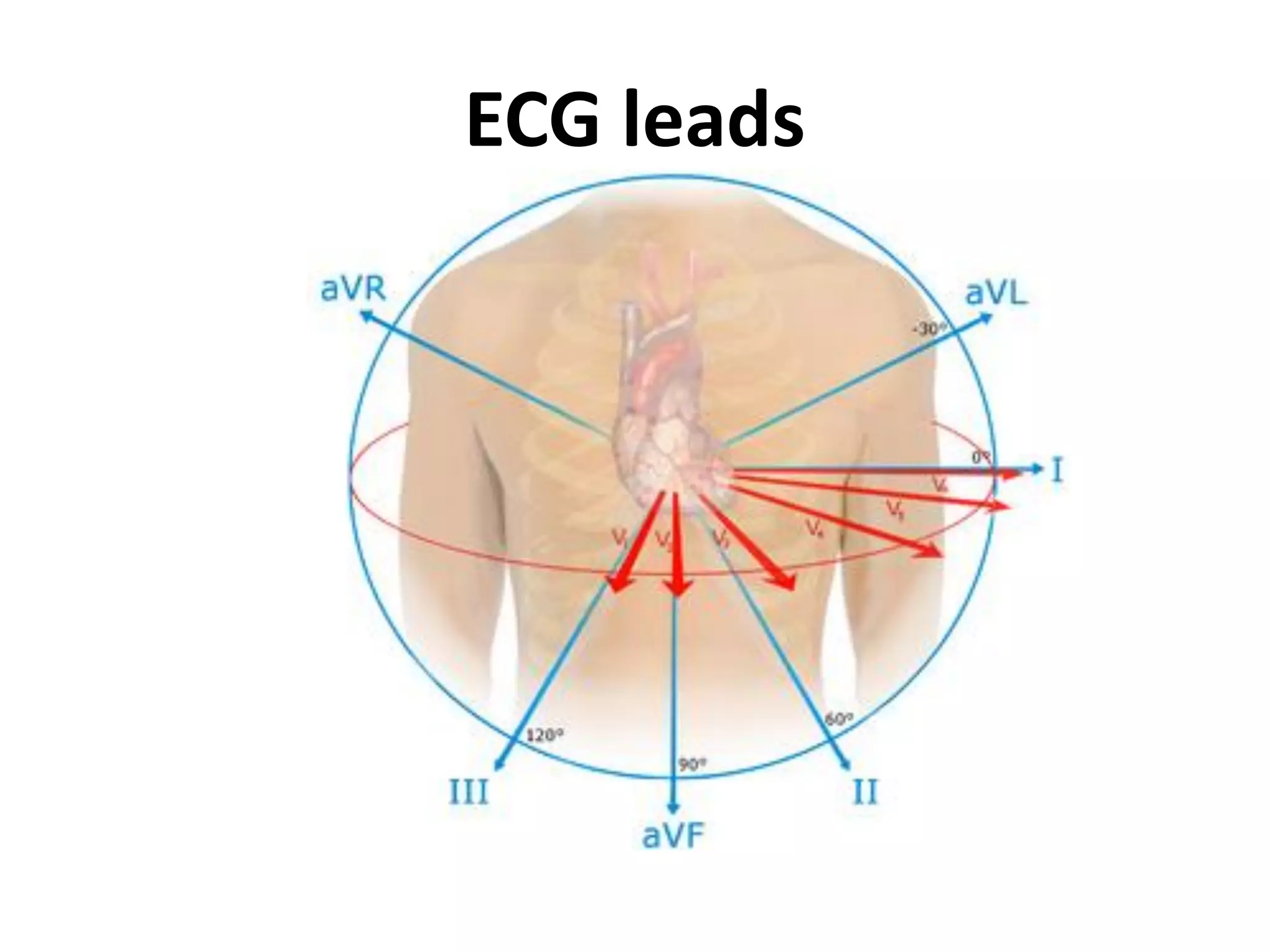 ECG leads
 