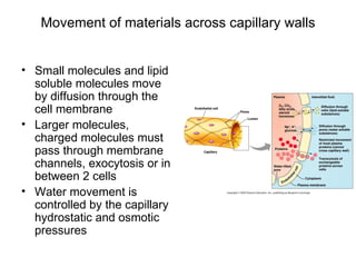 Movement of materials across capillary walls


• Small molecules and lipid
  soluble molecules move
  by diffusion through the
  cell membrane
• Larger molecules,
  charged molecules must
  pass through membrane
  channels, exocytosis or in
  between 2 cells
• Water movement is
  controlled by the capillary
  hydrostatic and osmotic
  pressures
 
