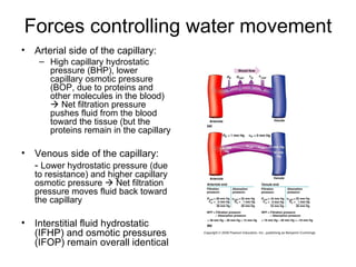 Forces controlling water movement
•   Arterial side of the capillary:
     – High capillary hydrostatic
       pressure (BHP), lower
       capillary osmotic pressure
       (BOP, due to proteins and
       other molecules in the blood)
        Net filtration pressure
       pushes fluid from the blood
       toward the tissue (but the
       proteins remain in the capillary

•   Venous side of the capillary:
    - Lower hydrostatic pressure (due
    to resistance) and higher capillary
    osmotic pressure  Net filtration
    pressure moves fluid back toward
    the capillary

•   Interstitial fluid hydrostatic
    (IFHP) and osmotic pressures
    (IFOP) remain overall identical
 