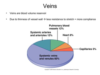 Veins
•   Veins are blood volume reservoir

•   Due to thinness of vessel wall  less resistance to stretch = more compliance
 