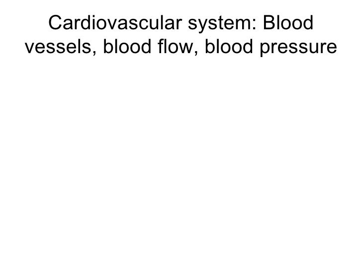 Cardiovascular system flow and pressure