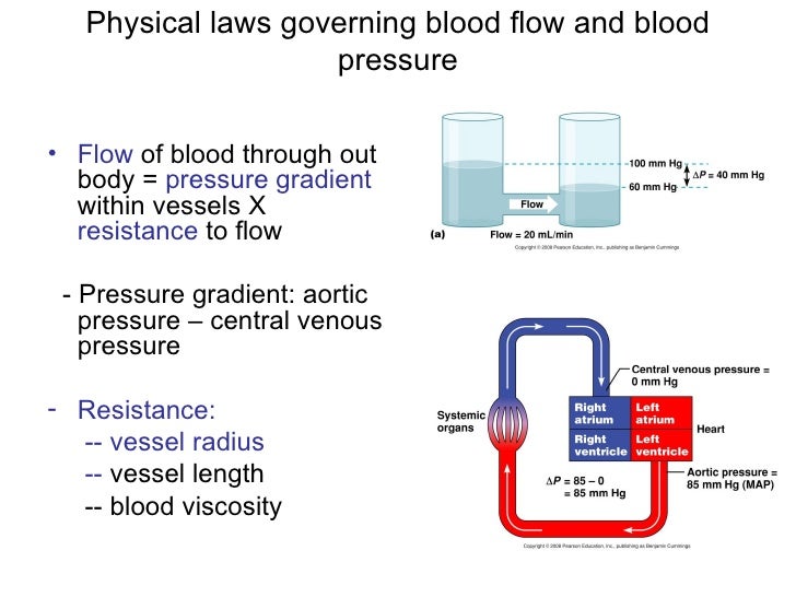Cardiovascular system flow and pressure