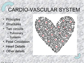 CARDIO-VASCULAR SYSTEM
• Principles
• Structures
• Two circuits
  – Pulmonary
  – Systemic
• Fetal Circulation
• Heart Details
• Other details
 