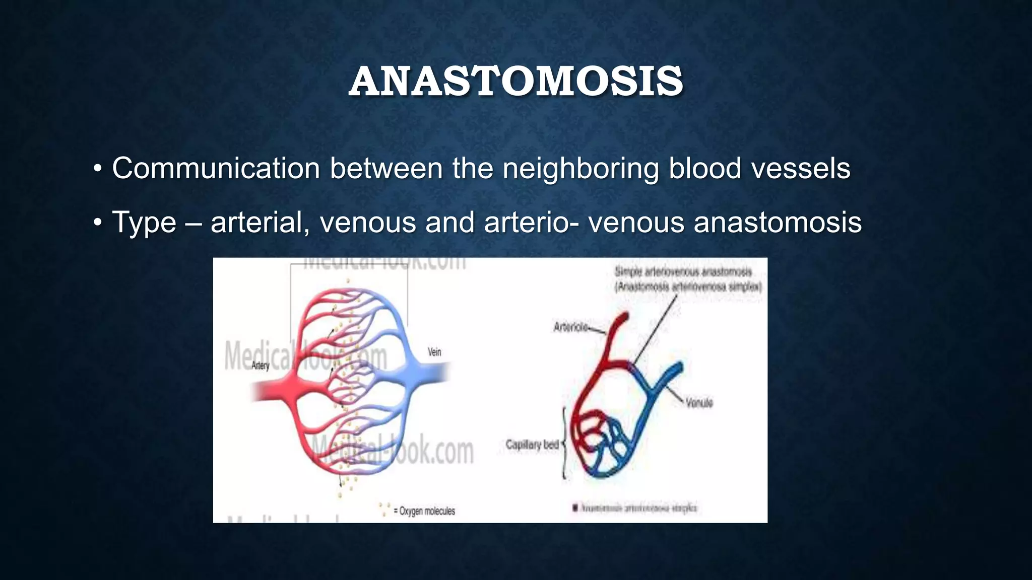 Cardio vascular system (1).pptx