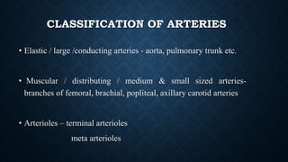 CLASSIFICATION OF ARTERIES
• Elastic / large /conducting arteries - aorta, pulmonary trunk etc.
• Muscular / distributing / medium & small sized arteries-
branches of femoral, brachial, popliteal, axillary carotid arteries
• Arterioles – terminal arterioles
meta arterioles
 