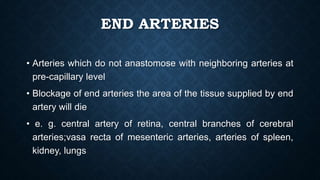 END ARTERIES
• Arteries which do not anastomose with neighboring arteries at
pre-capillary level
• Blockage of end arteries the area of the tissue supplied by end
artery will die
• e. g. central artery of retina, central branches of cerebral
arteries;vasa recta of mesenteric arteries, arteries of spleen,
kidney, lungs
 