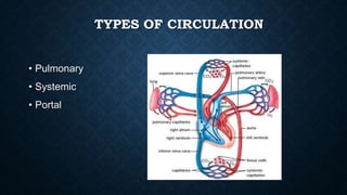 TYPES OF CIRCULATION
• Pulmonary
• Systemic
• Portal
 