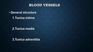 ARTERIES
 Blood vessels that carry
blood away from the
heart are called arteries.
 They are the thickest
blood vessels a...