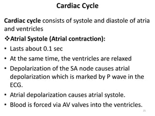 Cardiac Cycle
Cardiac cycle consists of systole and diastole of atria
and ventricles
Atrial Systole (Atrial contraction):
• Lasts about 0.1 sec
• At the same time, the ventricles are relaxed
• Depolarization of the SA node causes atrial
depolarization which is marked by P wave in the
ECG.
• Atrial depolarization causes atrial systole.
• Blood is forced via AV valves into the ventricles.
25
 