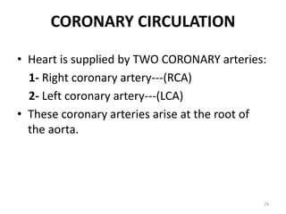 CORONARY CIRCULATION
• Heart is supplied by TWO CORONARY arteries:
1- Right coronary artery---(RCA)
2- Left coronary artery---(LCA)
• These coronary arteries arise at the root of
the aorta.
29
 