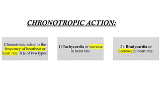 Cardio vascular system (1).pptx.Dr.Dhwani Kawedia | PPTX