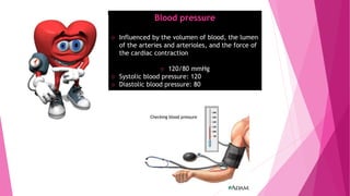 Blood pressure
♡ Influenced by the volumen of blood, the lumen
of the arteries and arterioles, and the force of
the cardiac contraction
♡ 120/80 mmHg
♡ Systolic blood pressure: 120
♡ Diastolic blood pressure: 80
 