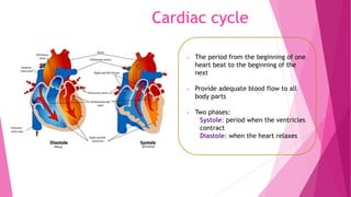 Cardiac cycle
 The period from the beginning of one
heart beat to the beginning of the
next
 Provide adequate blood flow to all
body parts
 Two phases:
Systole: period when the ventricles
contract
Diastole: when the heart relaxes
 