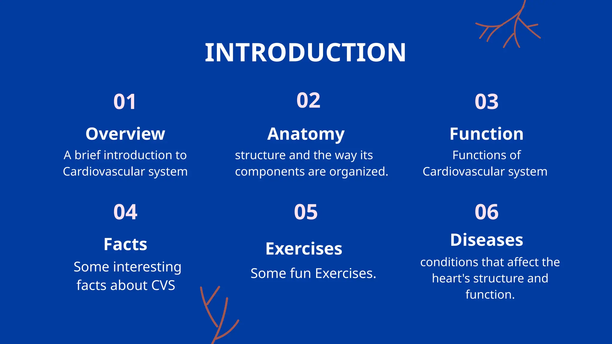 Cardiovascular system covers structure, function and circulation of ...