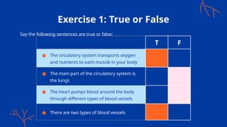 Exercise 1: True or False
Say the following sentences are true or false:
T F
● The circulatory system transports oxygen
and nutrients to each muscle in your body
● The main part of the circulatory system is
the lungs
● The heart pumps blood around the body
through different types of blood vessels
● There are two types of blood vessels
 