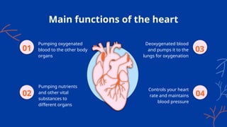 Main functions of the heart
Pumping oxygenated
blood to the other body
organs
01
Pumping nutrients
and other vital
substances to
different organs
Deoxygenated blood
and pumps it to the
lungs for oxygenation
Controls your heart
rate and maintains
blood pressure
02
03
04
 