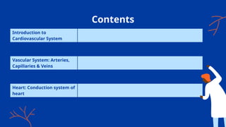 Contents
Introduction to
Cardiovascular System
Vascular System: Arteries,
Capillaries & Veins
Heart: Conduction system of
heart
 