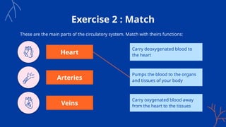 Exercise 2 : Match
These are the main parts of the circulatory system. Match with theirs functions:
Carry deoxygenated blood to
the heart
Pumps the blood to the organs
and tissues of your body
Carry oxygenated blood away
from the heart to the tissues
Heart
Arteries
Veins
 