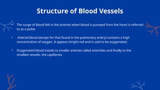 Structure of Blood Vessels
• The surge of blood felt in the arteries when blood is pumped from the heart is referred
to as a pulse.
• Arterial blood (except for that found in the pulmonary artery) contains a high
concentration of oxygen. It appears bright red and is said to be oxygenated.
• Oxygenated blood travels to smaller arteries called arterioles and finally to the
smallest vessels, the capillaries.
 