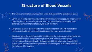 Structure of Blood Vessels
• The valves are small structures within veins that prevent the backflow of blood.
• Valves are found predominantly in the extremities and are especially important for
returning blood from the legs to the heart because blood must travel a long
distance against the force of gravity to reach the heart.
• Large veins such as those found in the abdomen contain smooth muscle that
contract peristaltically to propel blood toward the heart against gravity.
• Blood carried in the veins (except for the blood in the pulmonary veins) contains a
low concentration of oxygen (deoxygenated) with a corresponding high
concentration of carbon dioxide. Deoxygenated blood takes on a characteristic
purple color. Blood continuously circulates to the lungs so that carbon dioxide can
be exchanged for oxygen.
 
