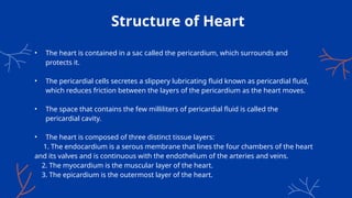 Structure of Heart
• The heart is contained in a sac called the pericardium, which surrounds and
protects it.
• The pericardial cells secretes a slippery lubricating fluid known as pericardial fluid,
which reduces friction between the layers of the pericardium as the heart moves.
• The space that contains the few milliliters of pericardial fluid is called the
pericardial cavity.
• The heart is composed of three distinct tissue layers:
1. The endocardium is a serous membrane that lines the four chambers of the heart
and its valves and is continuous with the endothelium of the arteries and veins.
2. The myocardium is the muscular layer of the heart.
3. The epicardium is the outermost layer of the heart.
 