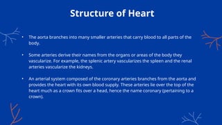 Structure of Heart
• The aorta branches into many smaller arteries that carry blood to all parts of the
body.
• Some arteries derive their names from the organs or areas of the body they
vascularize. For example, the splenic artery vascularizes the spleen and the renal
arteries vascularize the kidneys.
• An arterial system composed of the coronary arteries branches from the aorta and
provides the heart with its own blood supply. These arteries lie over the top of the
heart much as a crown fits over a head, hence the name coronary (pertaining to a
crown).
 